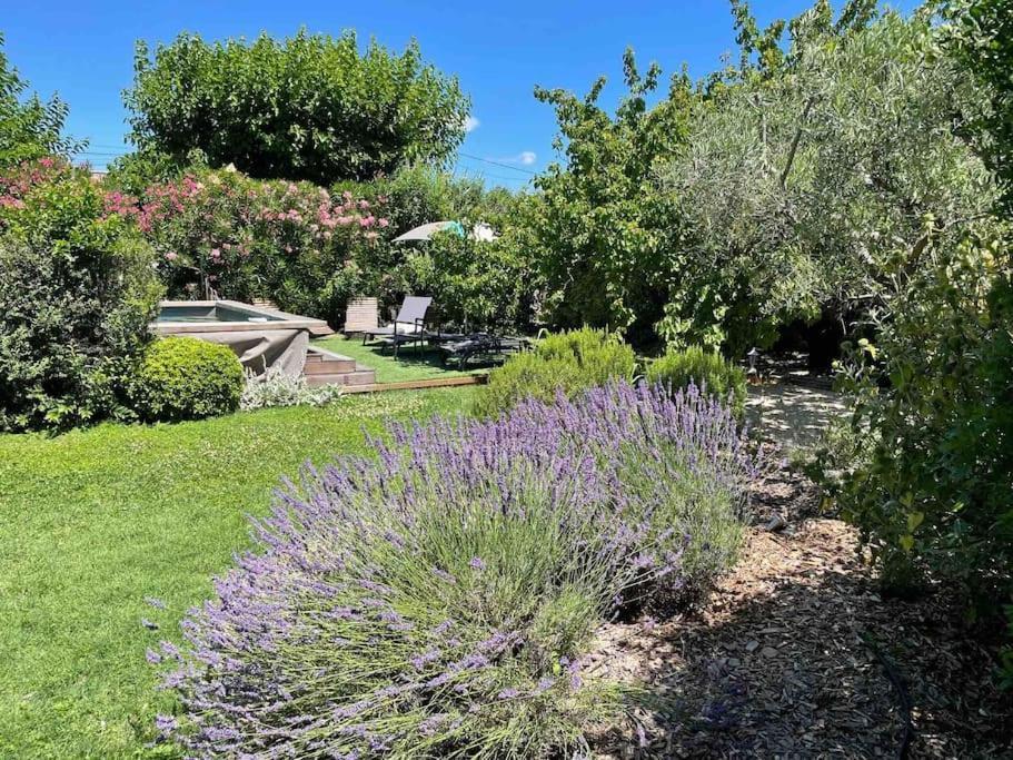 Villa Maison De Spacieuse & Cosy LʼIsle-sur-la-Sorgue