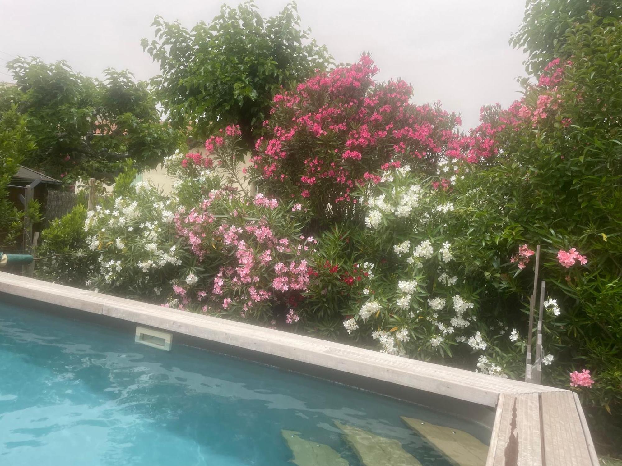 Maison De Spacieuse & Cosy Villa